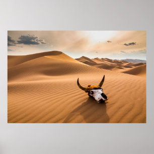 Poster Les déserts   Crâne de vache Dunes de sable ondulé