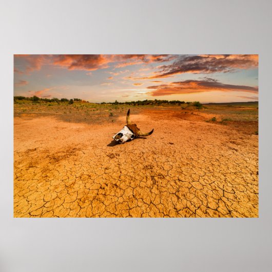 Poster Les déserts | Le désert au crâne de vache (Devant)