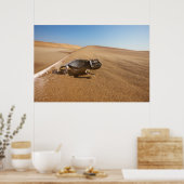 Poster Les déserts | Namaqua Chameleon dans le désert (Cuisine)