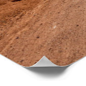 Poster Les déserts | Parc national du Saguaro Arizona (Coin)