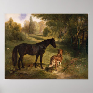 Poster Les deux amis