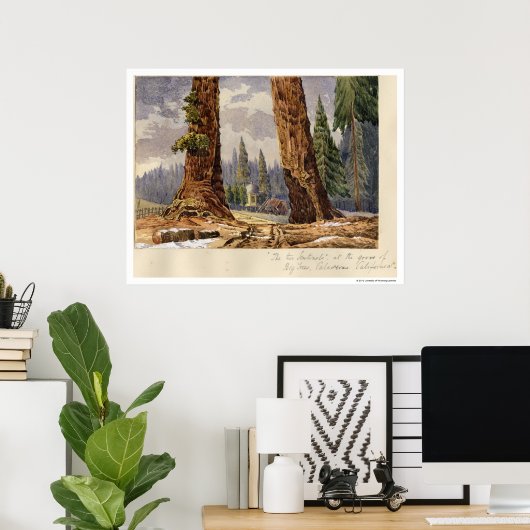 Poster Les Deux Sentinelles, à la Grove des Grands Arbres (Bureau à domicile)