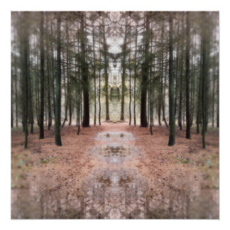 Poster Les Divins des Pines