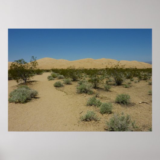 Poster Les dunes de Kelso dans le parc national Mojave (Devant)