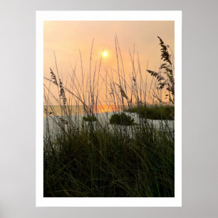 Poster Les dunes océaniques
