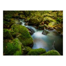 Les eaux paisibles de Wicklow