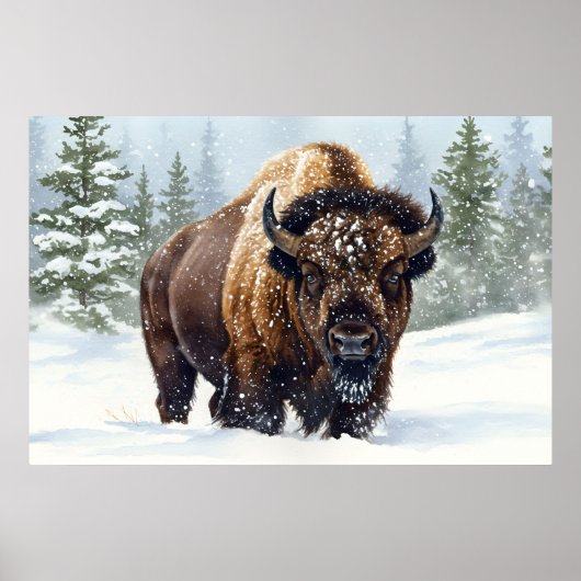 Poster Les échos de l'hiver : le royaume du bison (Devant)