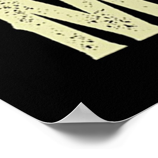 Poster Les écoles HBCU (Coin)