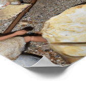 Poster Les enfants de lapin qui jouent. (Coin)