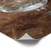 Poster Les enfants du monde entier ont besoin d'eau potab (Coin)