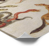 Poster Les ennemis des serpents (Coin)