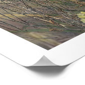 Poster Les Épagneuls Bretons , Saison de chasse aux oisea (Coin)