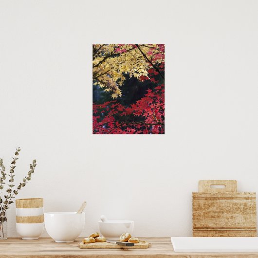 Poster Les érables en automne (Cuisine)