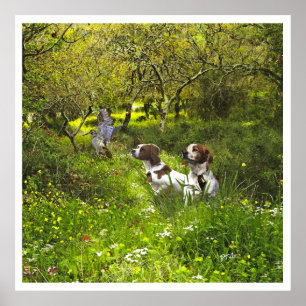 Poster Les Espagnols de Bretagne, Saison de chasse aux oi