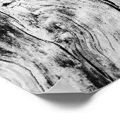 Poster les étoiles le disent ainsi (Coin)