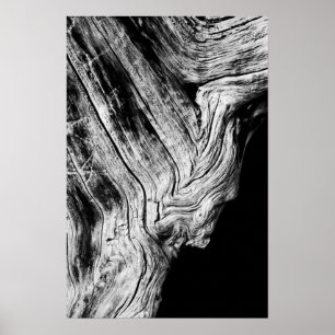 Poster les étoiles le disent ainsi