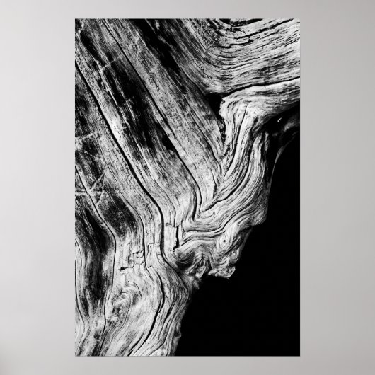 Poster les étoiles le disent ainsi (Devant)