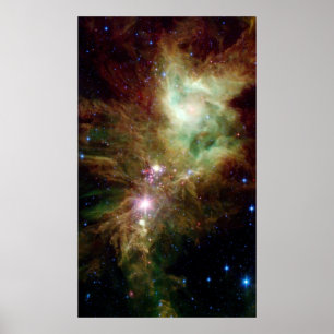 Poster Les étoiles nouveau-nées dans le pôle Arbre de Noë