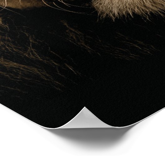 Poster Les faibles se mangent - Lion - Hustle (Coin)