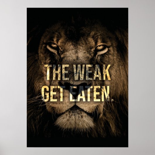 Poster Les faibles se mangent - Lion - Hustle (Devant)