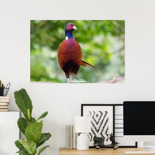 Poster Les faisans sauvages (Bureau à domicile)