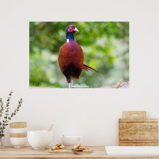 Poster Les faisans sauvages (Cuisine)