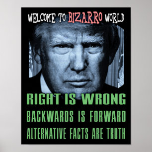 Poster Les faits alternatifs sont la vérité - Anti Donald