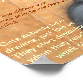 Poster Les faits de chat ! (Coin)