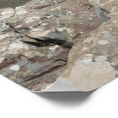 Poster Les falaises de Stony Man du parc national de Shen (Coin)