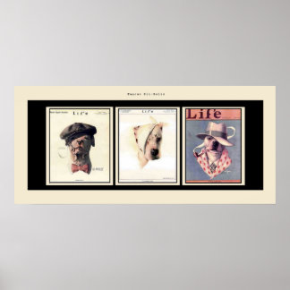 Poster Les fameux puces