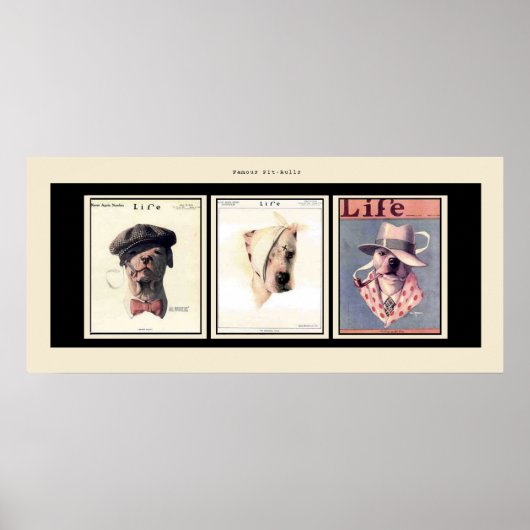 Poster Les fameux puces (Devant)