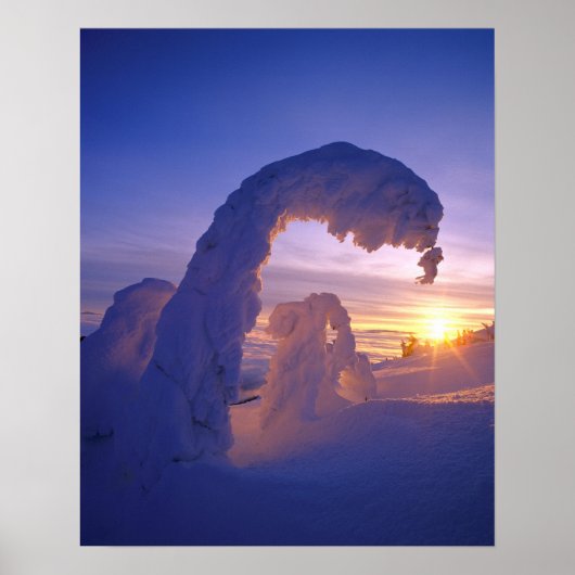 Poster Les fantômes de neige dans le massif de corégones (Devant)