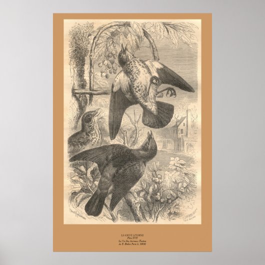 Poster Les fares sur le terrain (Devant)