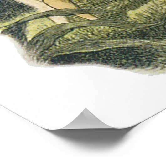 Poster Les fées jouent avec Robin Print par Richard Doyle (Coin)