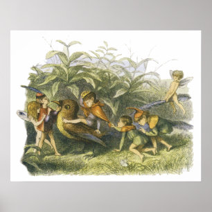 Poster Les fées jouent avec Robin Print par Richard Doyle