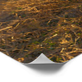 POSTER LES FEMMES AMÉRICAINES COMBATTANTES (Coin)