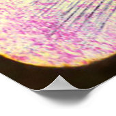 Poster Les femmes mystiques et la silhouette des arbres (Coin)