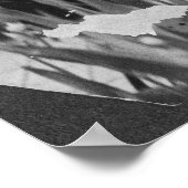 Poster Les femmes qui manifestent pour leur droit de vote (Coin)