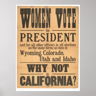 Poster Les femmes votent à Broadside (1873A)