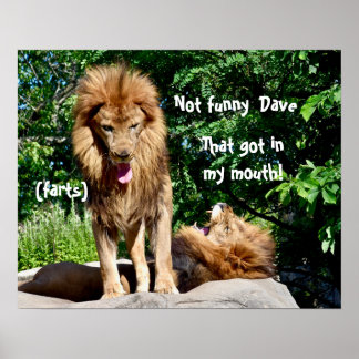 Poster Les fesses du lion