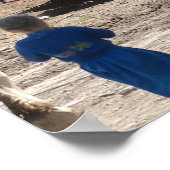 Poster Les filles Amish et leur cheval (Coin)