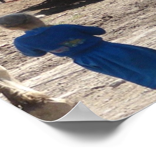 Poster Les filles Amish et leur cheval (Coin)