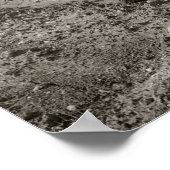 Poster Les filles bronzent, 1943. Photo vintage (Coin)