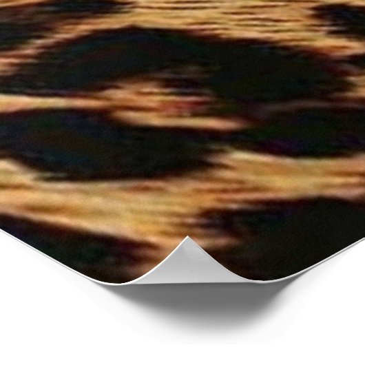 POSTER LES FILLES CHEETAH (Coin)