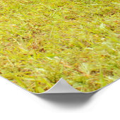 Poster Les fils de l'anarchie Motorcycle tirer! (Coin)