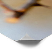 Poster Les fleurs d'abricot japonais (Coin)