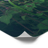 Poster Les fleurs de Bellflowers dans les bois (Coin)