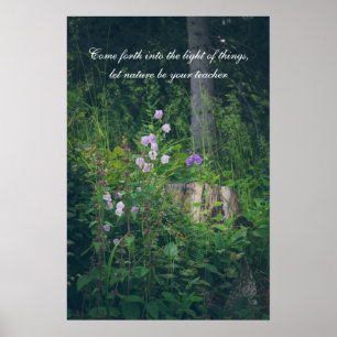 Poster Les fleurs de Bellflowers dans les bois