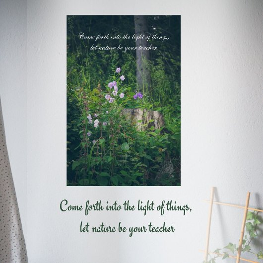 Poster Les fleurs de Bellflowers dans les bois
