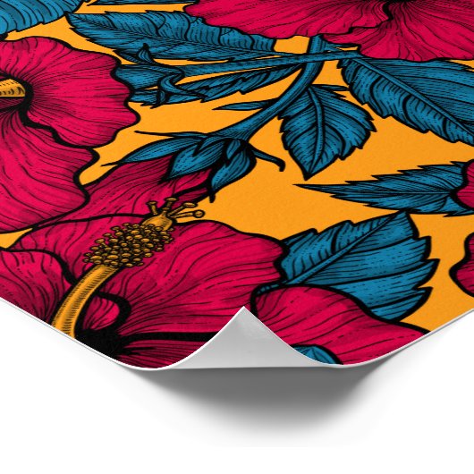 Poster Les fleurs d'Hibiscus (Coin)